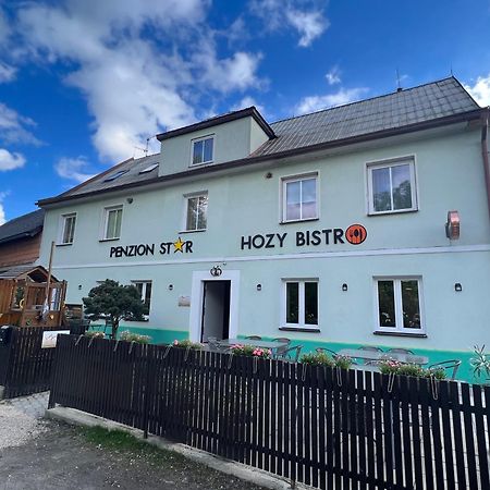 Penzion Star Doksy Доксы Экстерьер фото